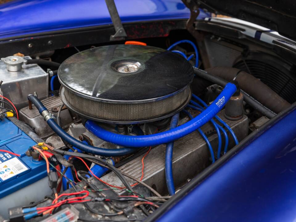 Bild 5/50 von AC Cobra 289 (1997)