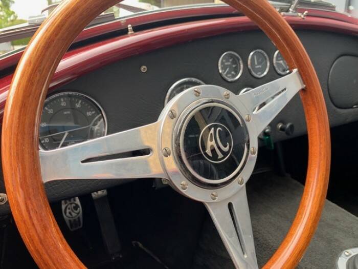 Imagen 27/40 de AC Ace Bristol (1956)
