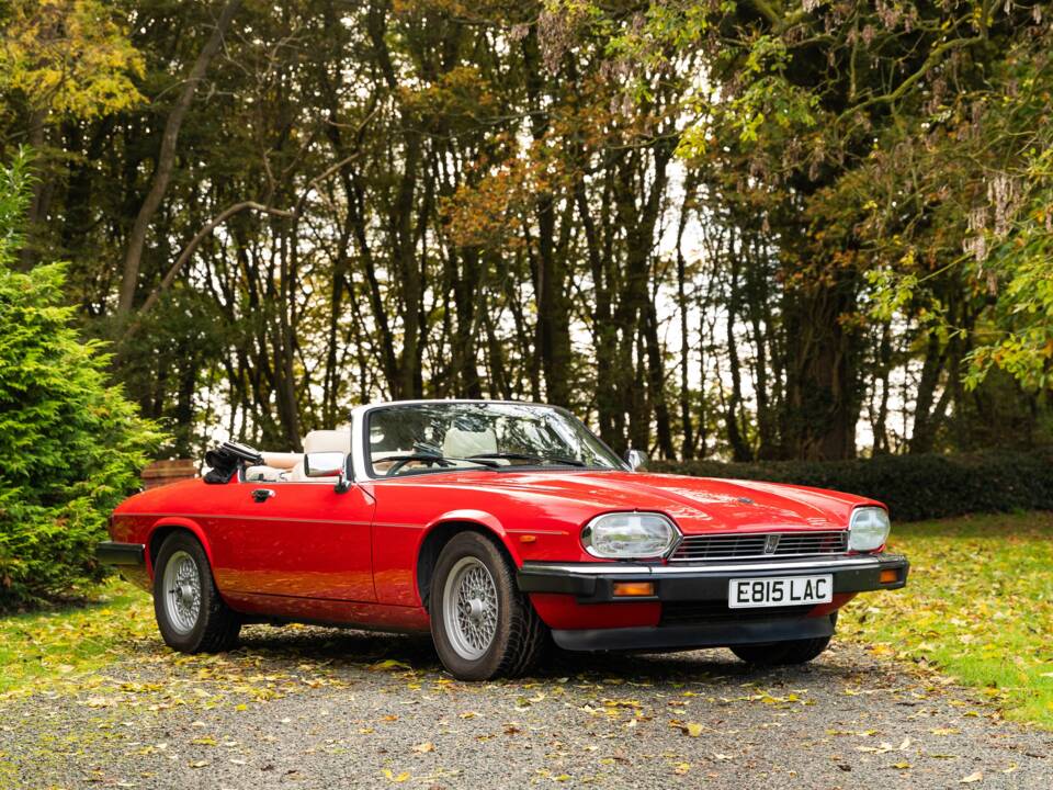 Image 31/50 of Jaguar XJS 5.3 V12 (1988)