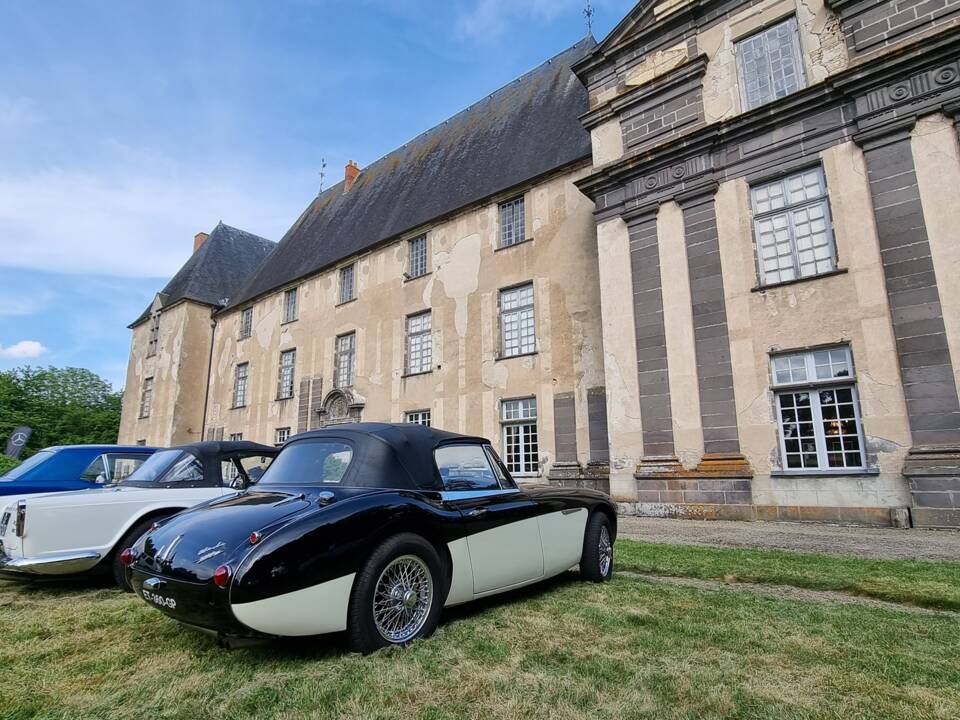 Image 11/11 of Austin-Healey 3000 Mk III (BJ8) (1965)