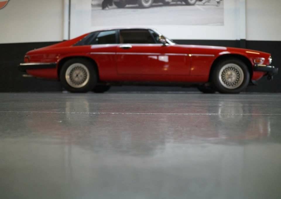 Image 25/48 de Jaguar XJS 5.3 V12 (1991)