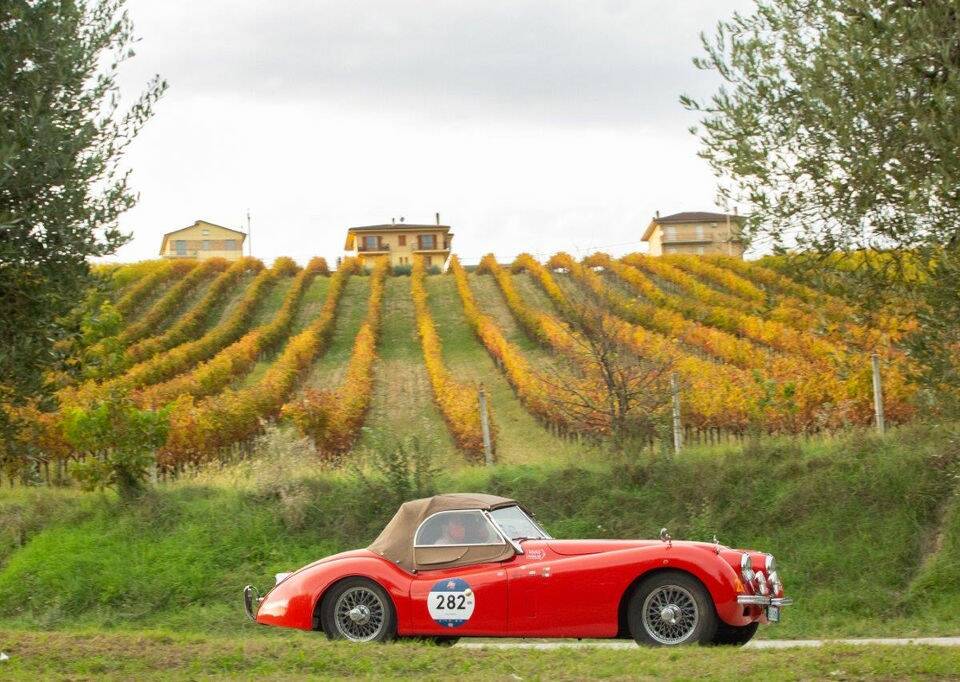 Afbeelding 6/6 van Jaguar XK 120 OTS (1954)