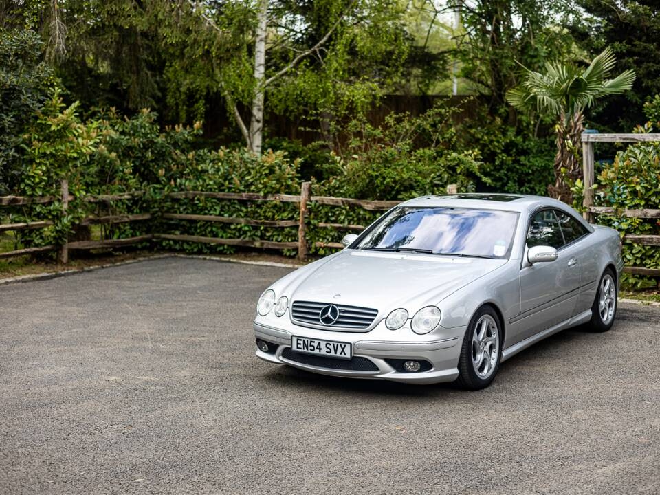 Bild 24/36 von Mercedes-Benz CL 500 (2004)
