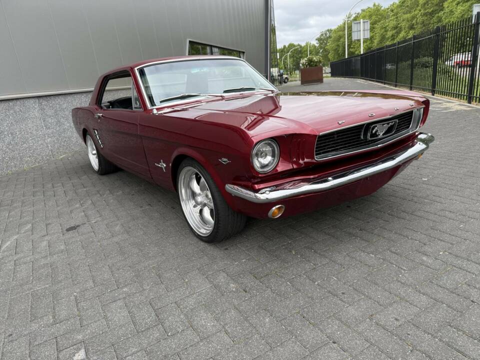 Bild 7/47 von Ford Shelby GT 350 (1966)