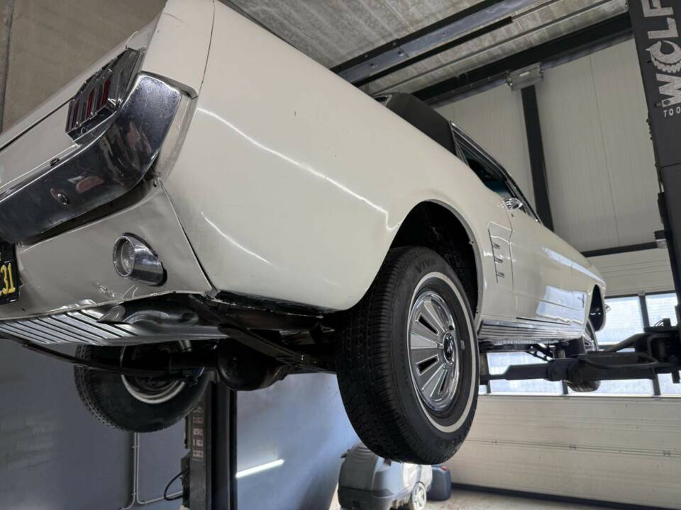 Image 38/40 of Ford Shelby GT 350 (1966)