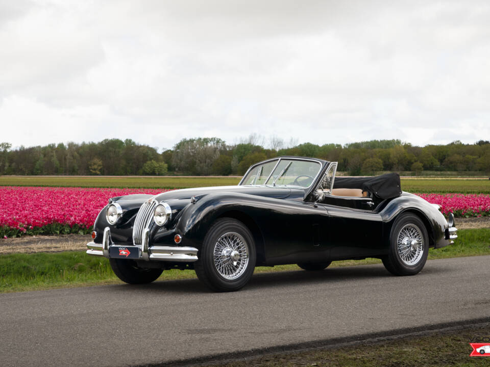 Immagine 3/47 di Jaguar XK 140 DHC (1956)