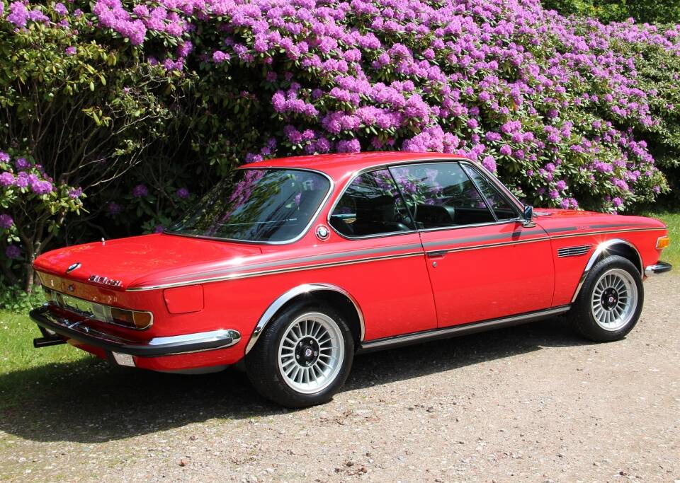 Immagine 18/65 di BMW 3.0 CSL (1973)