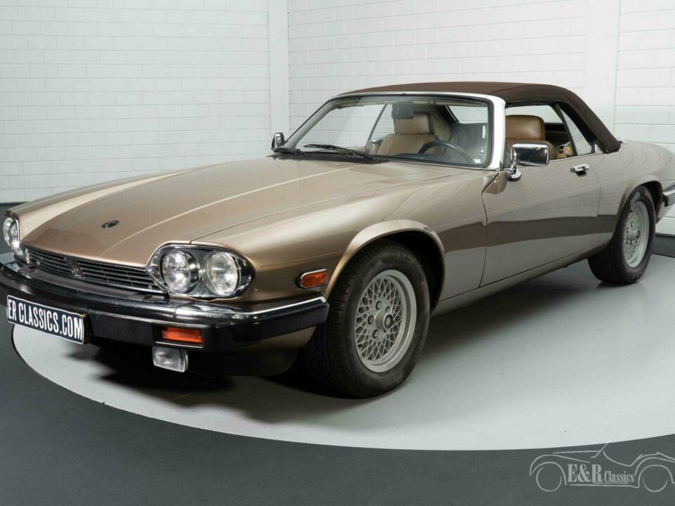 Bild 6/19 von Jaguar XJS 5.3 V12 (1989)