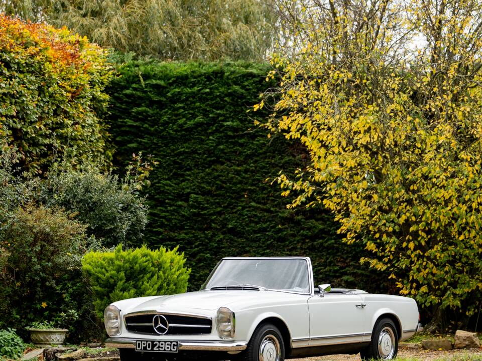 Image 26/50 of Mercedes-Benz 280 SL (1968)