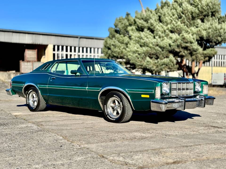 Image 3/19 of Ford Elite (1976)