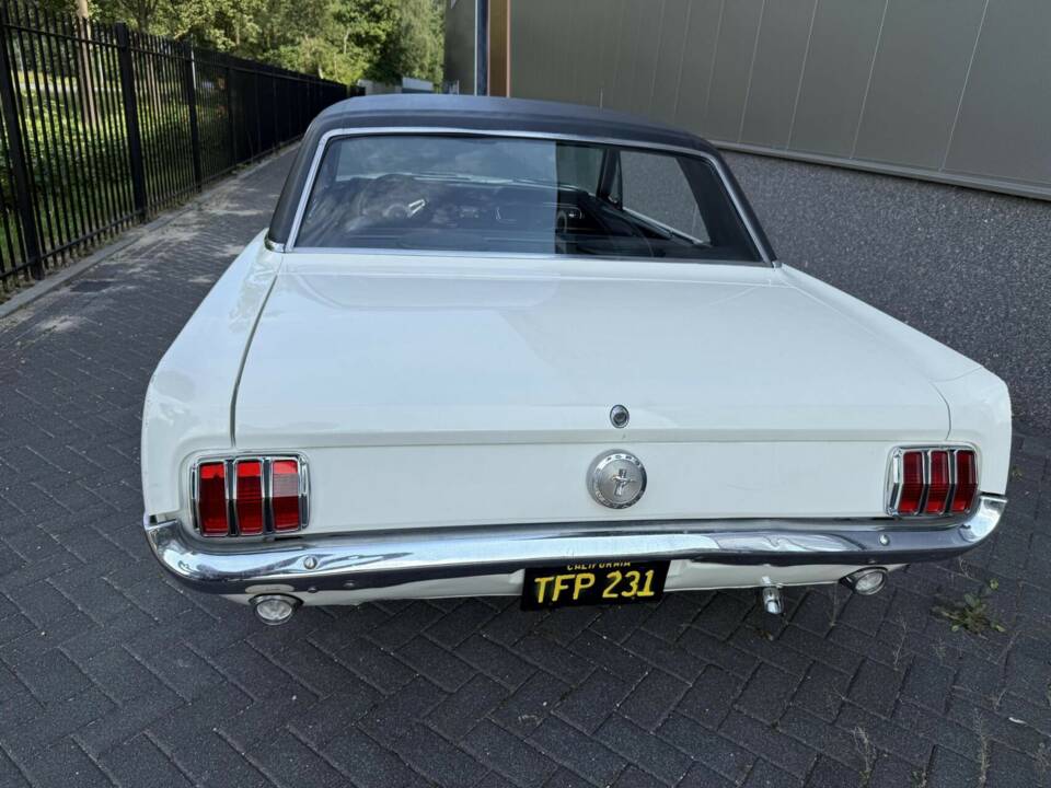 Image 13/40 of Ford Shelby GT 350 (1966)