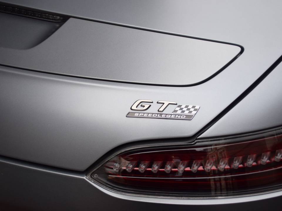 Image 13/38 of Mercedes-AMG GT-R Bussink Speedlegend (2019)