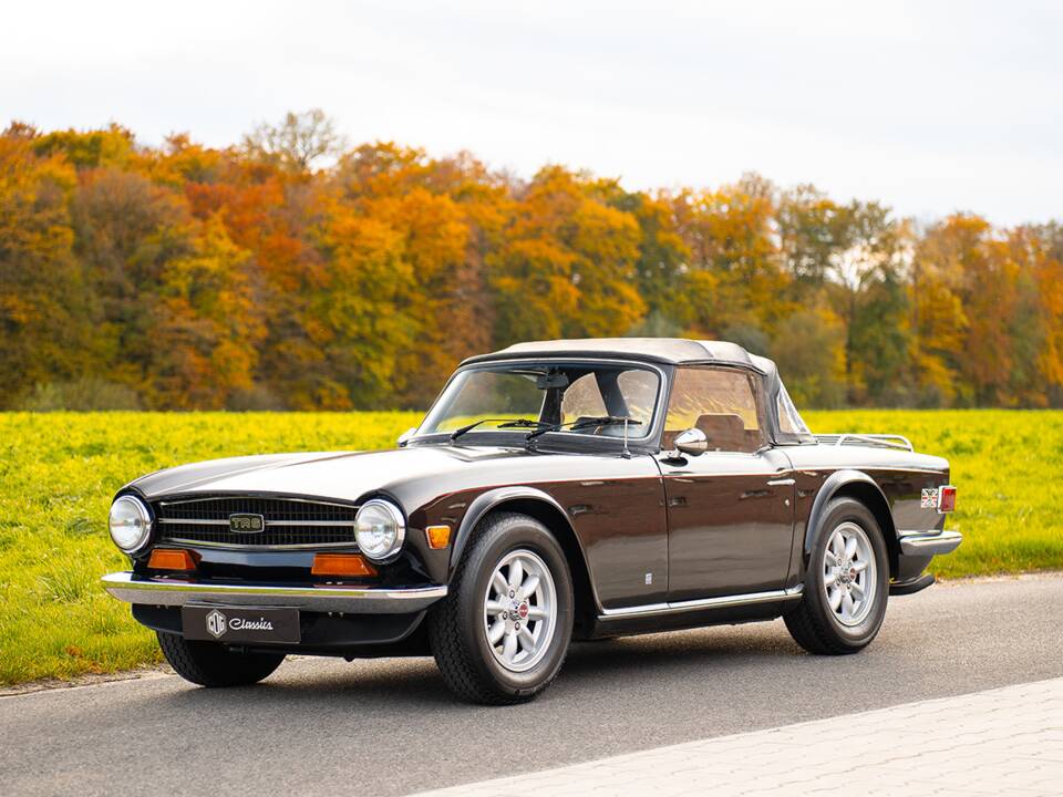 Immagine 1/36 di Triumph TR 6 (1974)