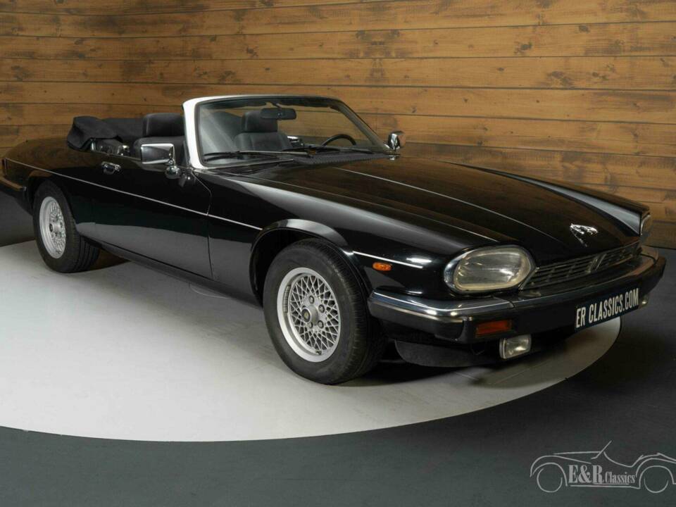 Image 4/19 de Jaguar XJS 5.3 V12 (1990)