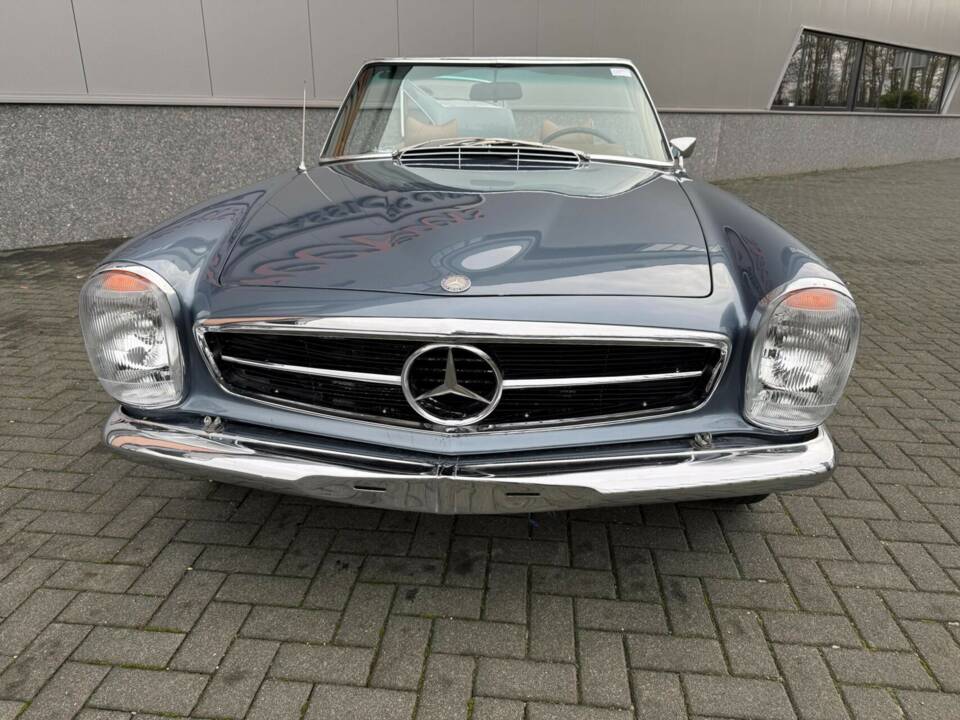 Immagine 15/50 di Mercedes-Benz 280 SL (1969)