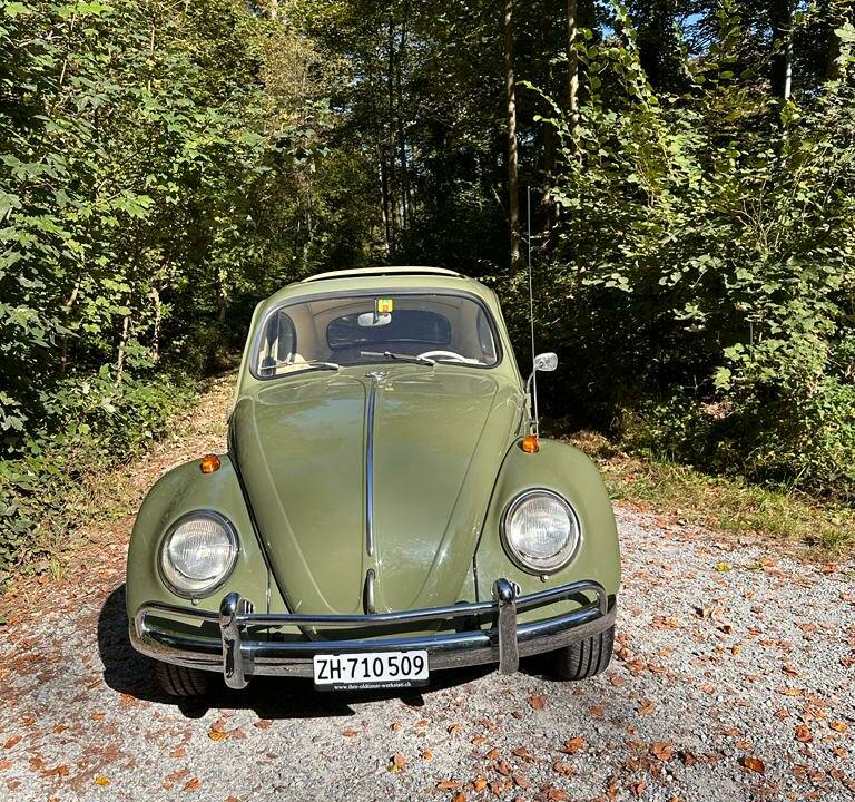 Bild 4/23 von Volkswagen Escarabajo 1200 (1960)