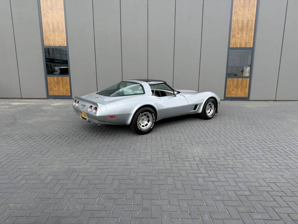 Immagine 5/18 di Chevrolet Corvette Sting Ray (1980)