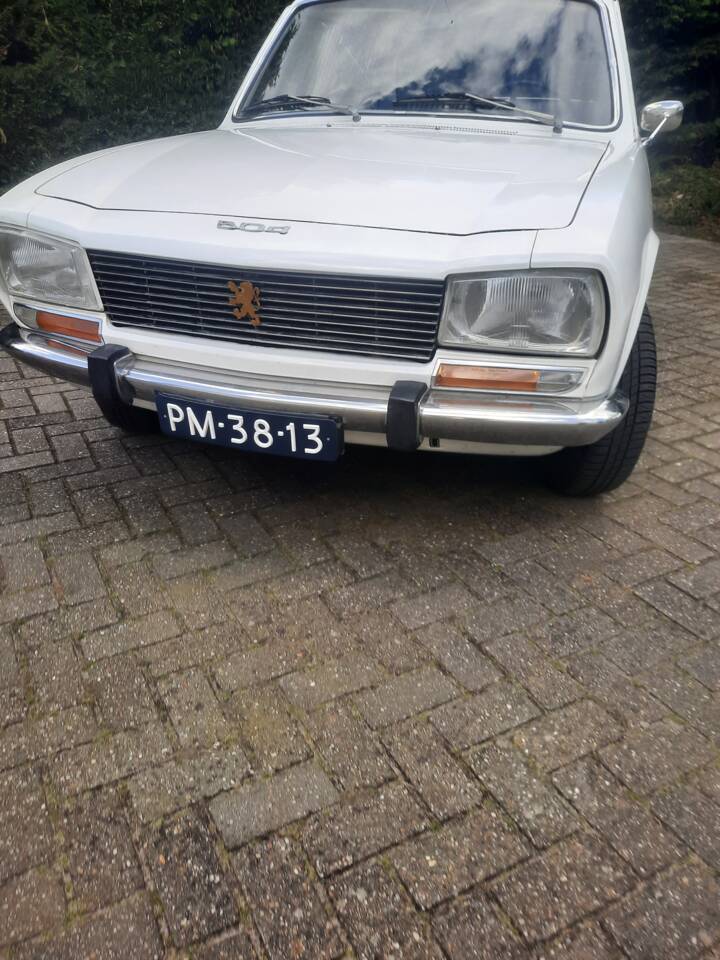 Imagen 10/25 de Peugeot 504 (1971)