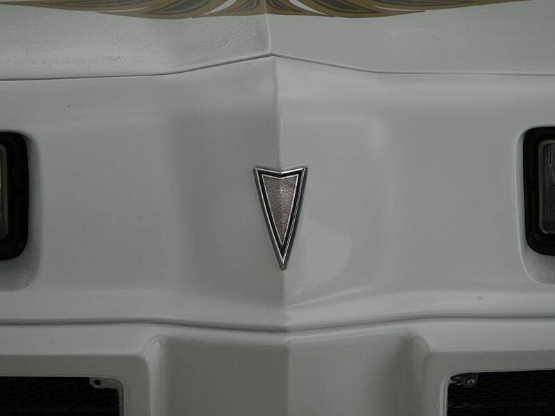 Bild 14/15 von Pontiac Firebird Turbo TransAm (1981)