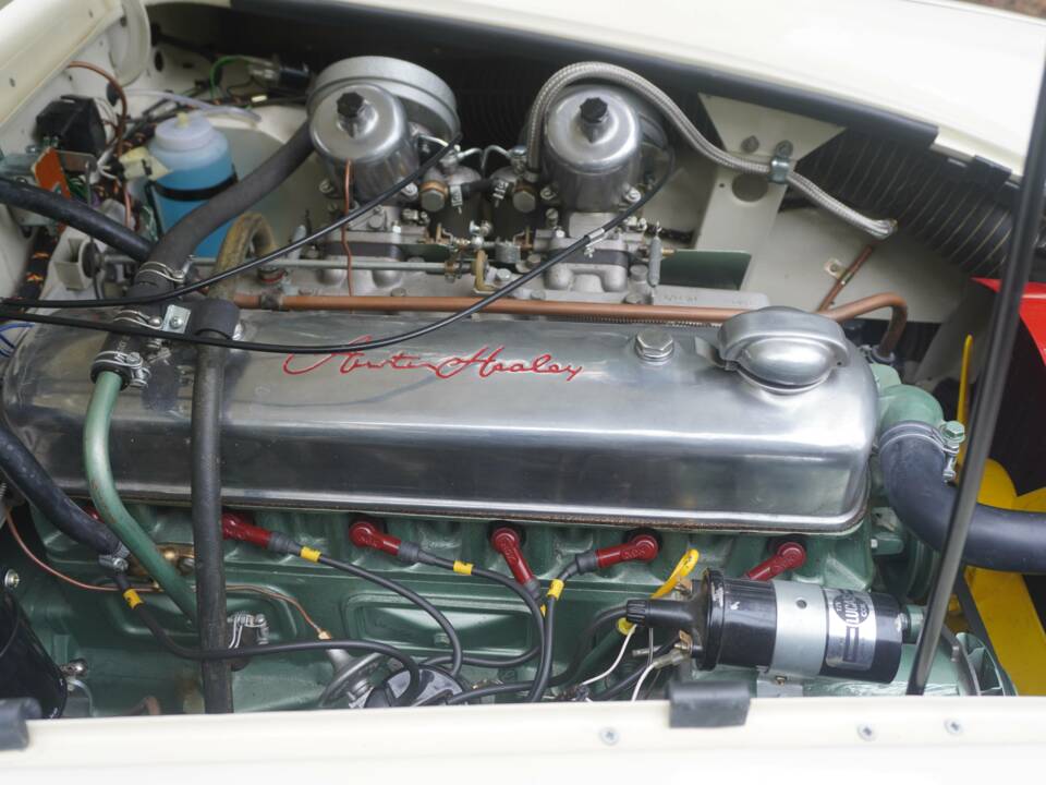 Immagine 17/25 di Austin-Healey 3000 Mk III (BJ8) (1964)