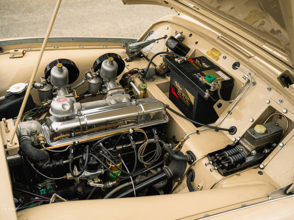 Image 12/14 of Triumph TR 3 (1956)