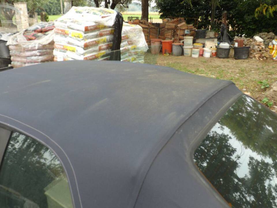 Image 45/50 of Volkswagen Golf III Cabrio 1.6 (1996)