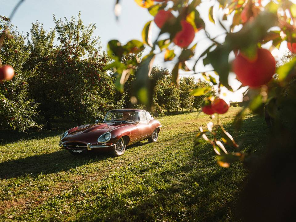 Afbeelding 48/49 van Jaguar E-Type 3.8 (1962)