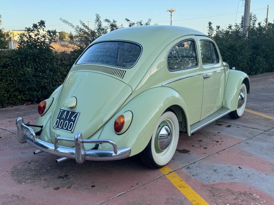Bild 56/62 von Volkswagen Käfer 1200 Autozodiaco (1963)
