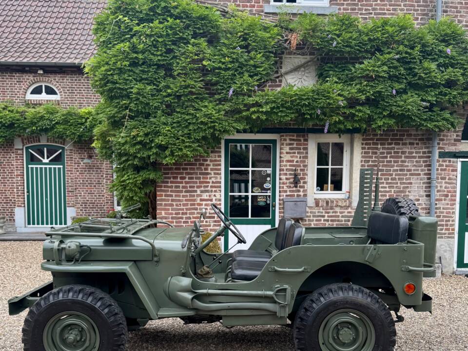 Immagine 2/20 di Jeep Willys-Overland CJ-3A (1950)