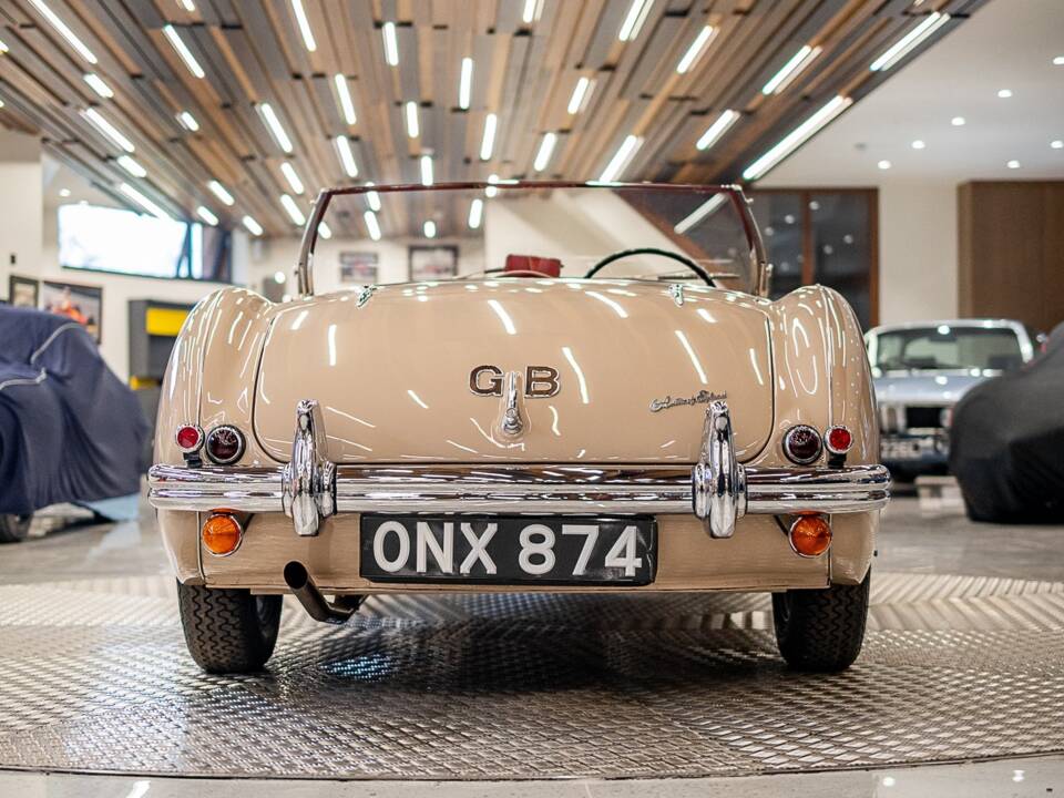 Immagine 6/50 di Austin-Healey 100/4 (BN1) (1954)