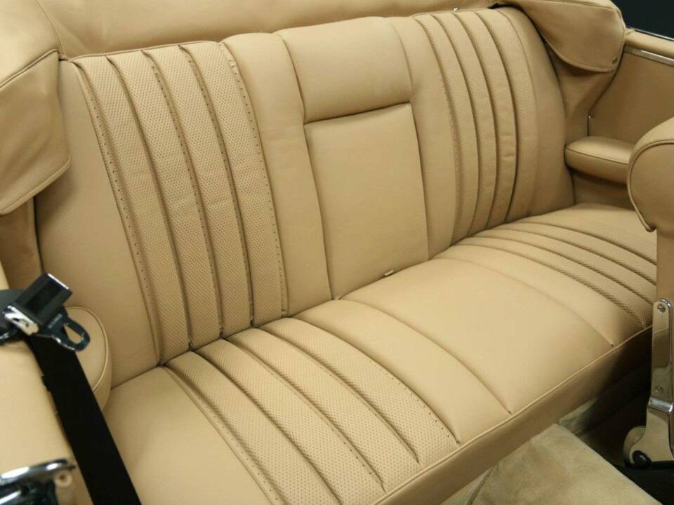 Bild 25/50 von Mercedes-Benz 250 SE (1966)