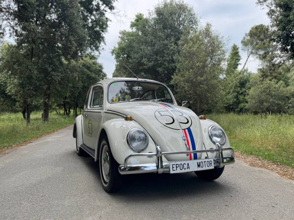 Afbeelding 3/27 van Volkswagen Käfer 1300 (1966)