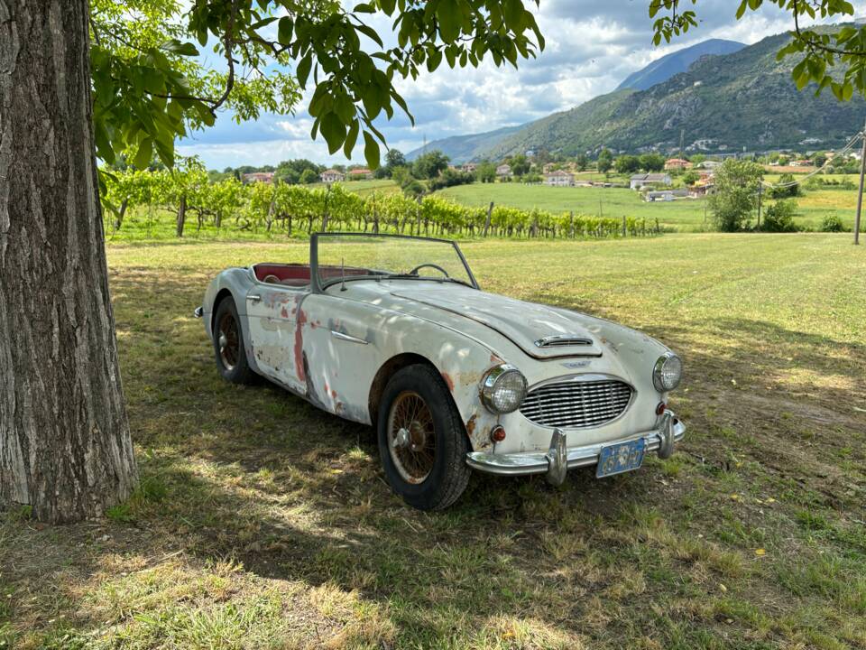 Bild 1/19 von Austin-Healey 3000 Mk I (BN7) (1960)