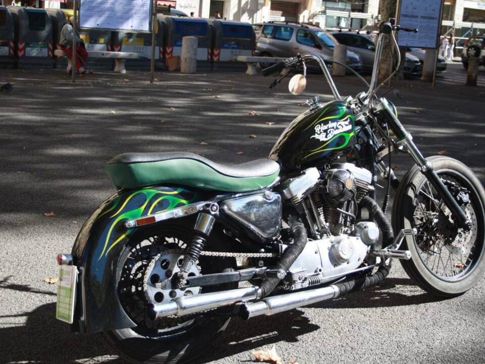 Imagen 18/50 de Harley-Davidson DUMMY (1995)