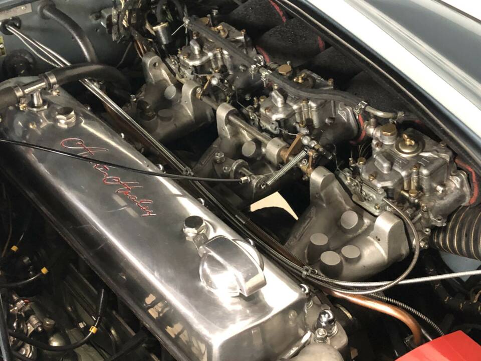 Bild 3/40 von Austin-Healey 3000 Mk I (BT7) (1960)