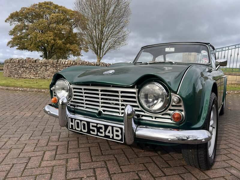 Immagine 42/45 di Triumph TR 4 (1964)