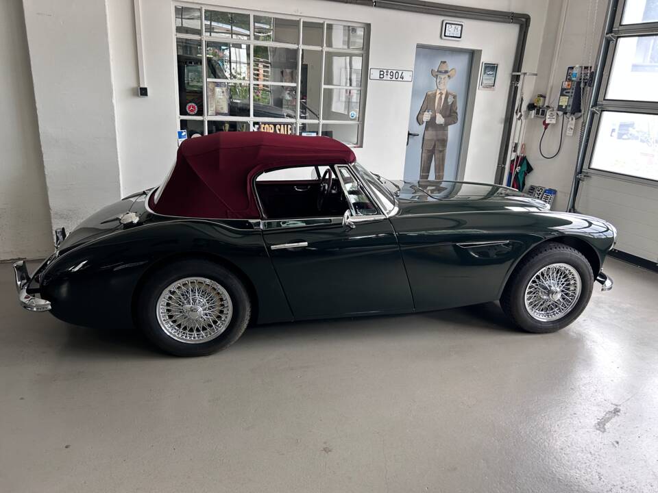 Immagine 6/31 di Austin-Healey 3000 Mk II (BJ7) (1962)