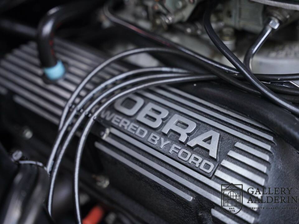 Bild 47/50 von Ford Shelby GT 350 (1968)