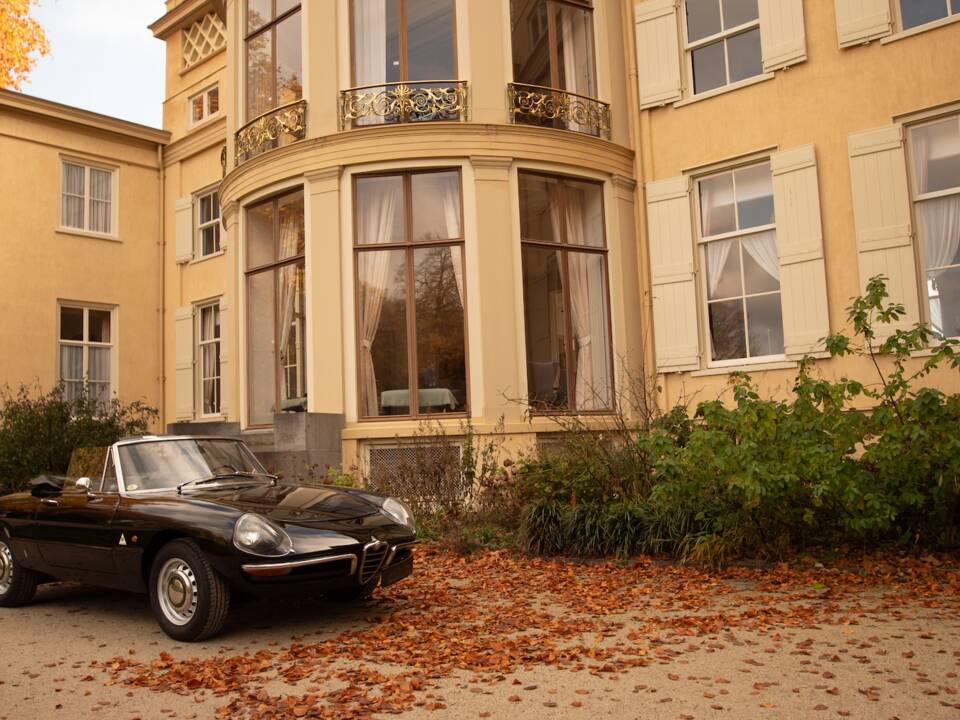 Image 40/51 of Alfa Romeo 1600 Spider Duetto (1966)