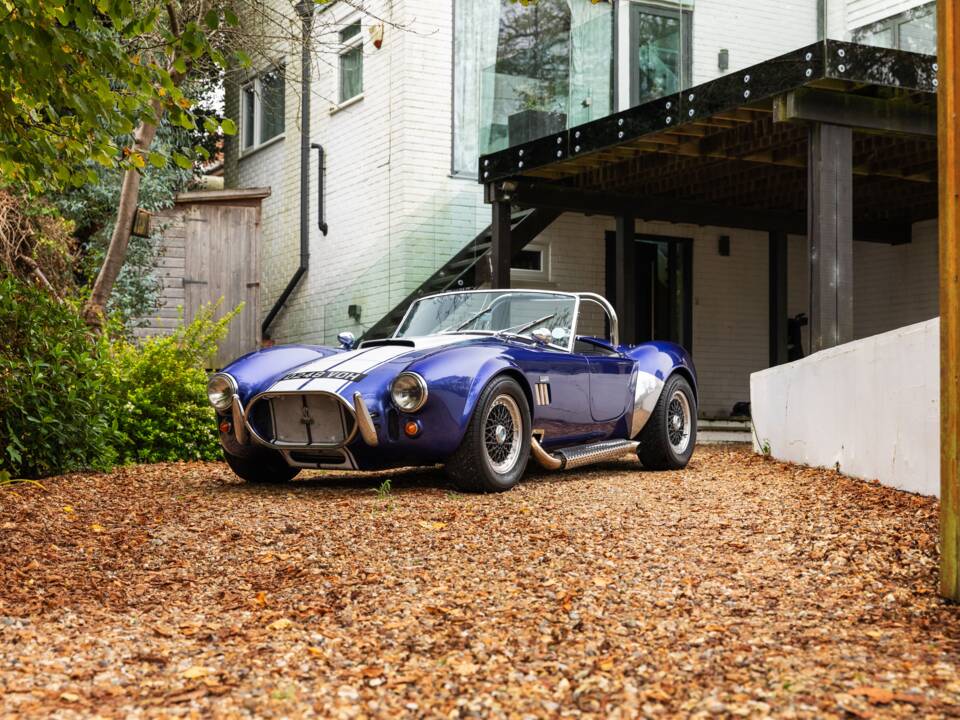 Bild 17/50 von AC Cobra 289 (1997)