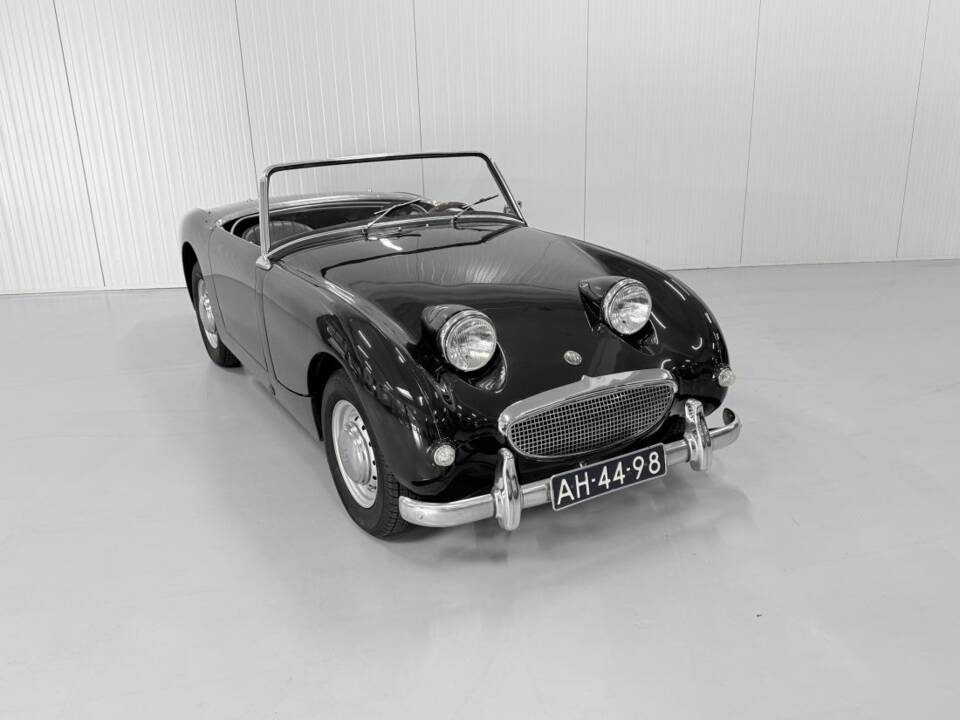 Imagen 3/13 de Austin-Healey Sprite Mk I (1960)