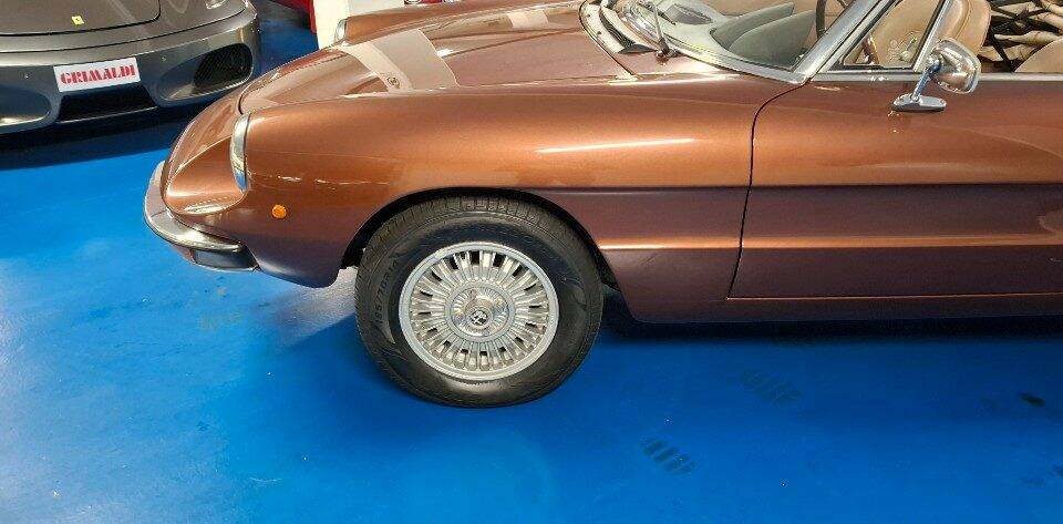 Image 21/45 of Alfa Romeo Spider Veloce 2000 (1981)
