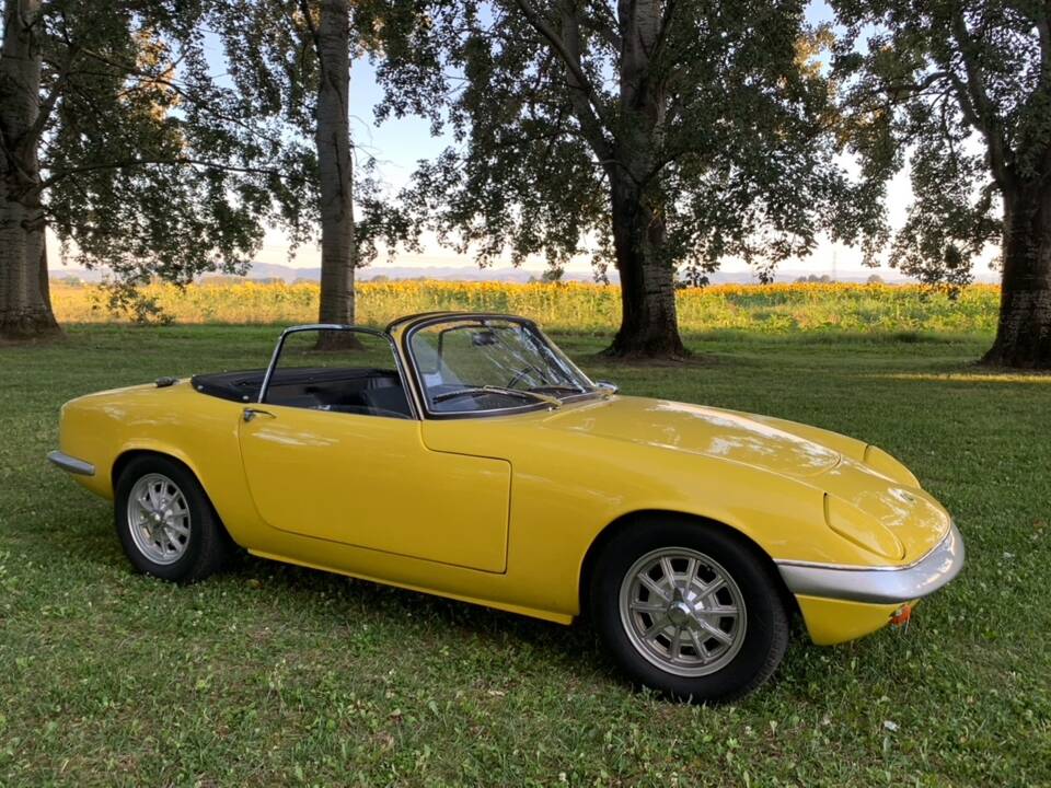Bild 1/12 von Lotus Elan S3 (1966)