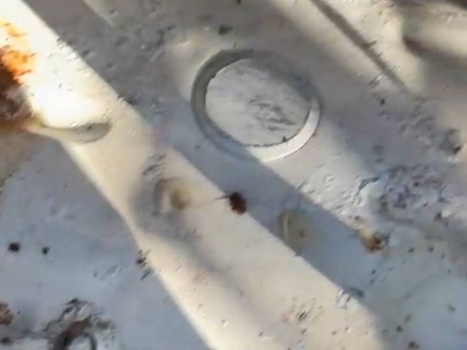 Afbeelding 21/54 van Citroën 2 CV 6 Club (1985)