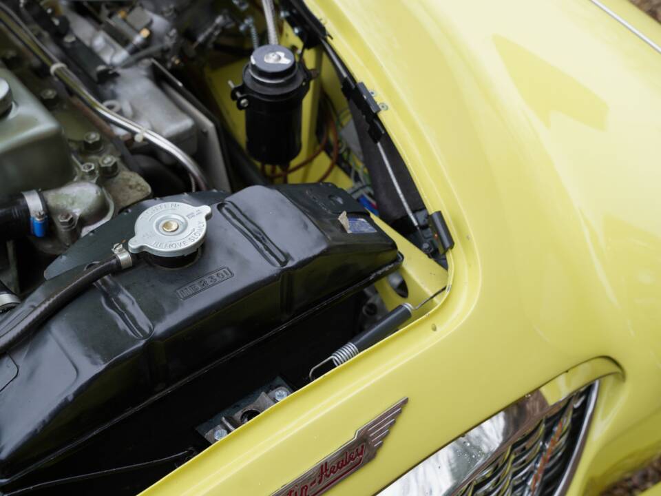 Bild 18/50 von Austin-Healey 3000 Mk I (BN7) (1960)