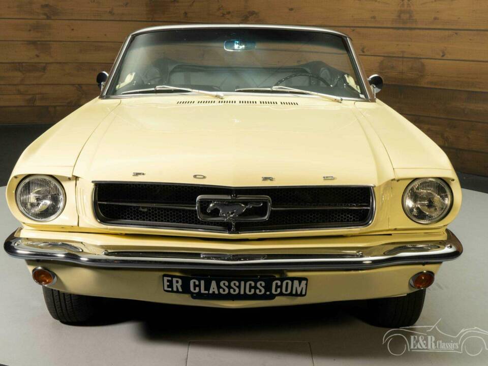 Image 5/19 of Ford Mustang 289 (1965)