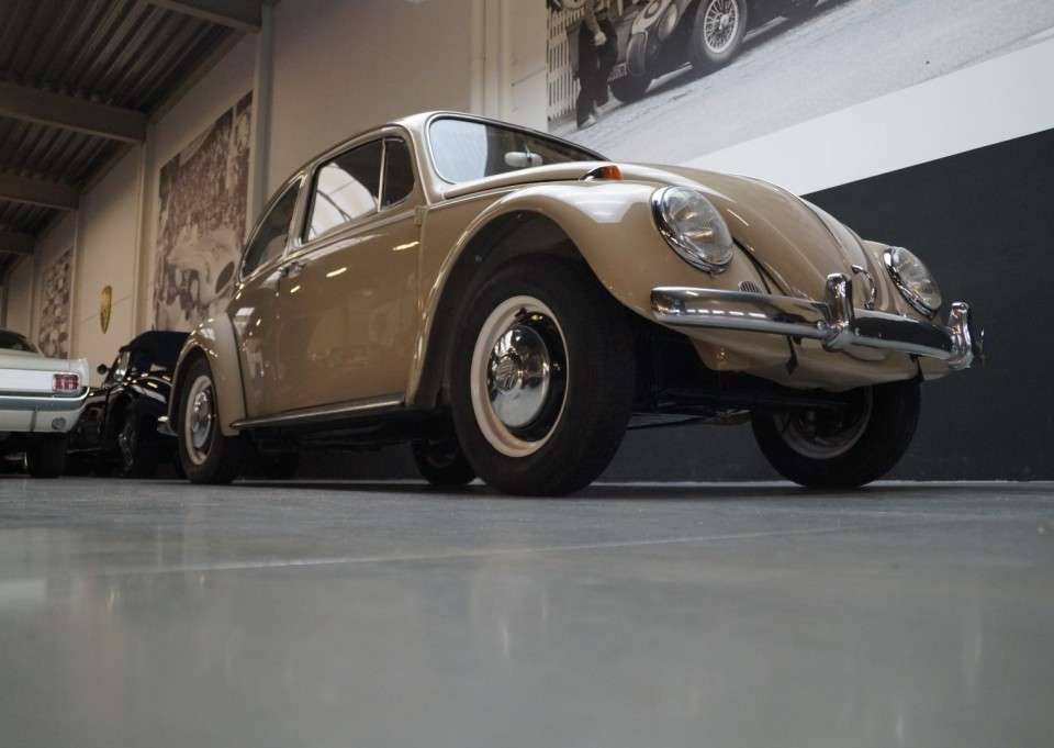 Immagine 23/50 di Volkswagen Beetle 1200 (1967)