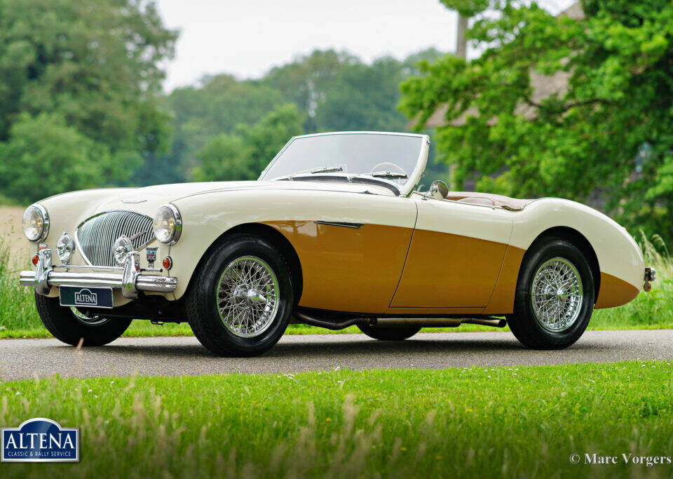 Imagen 1/50 de Austin-Healey 100&#x2F;4 (BN1) (1955)