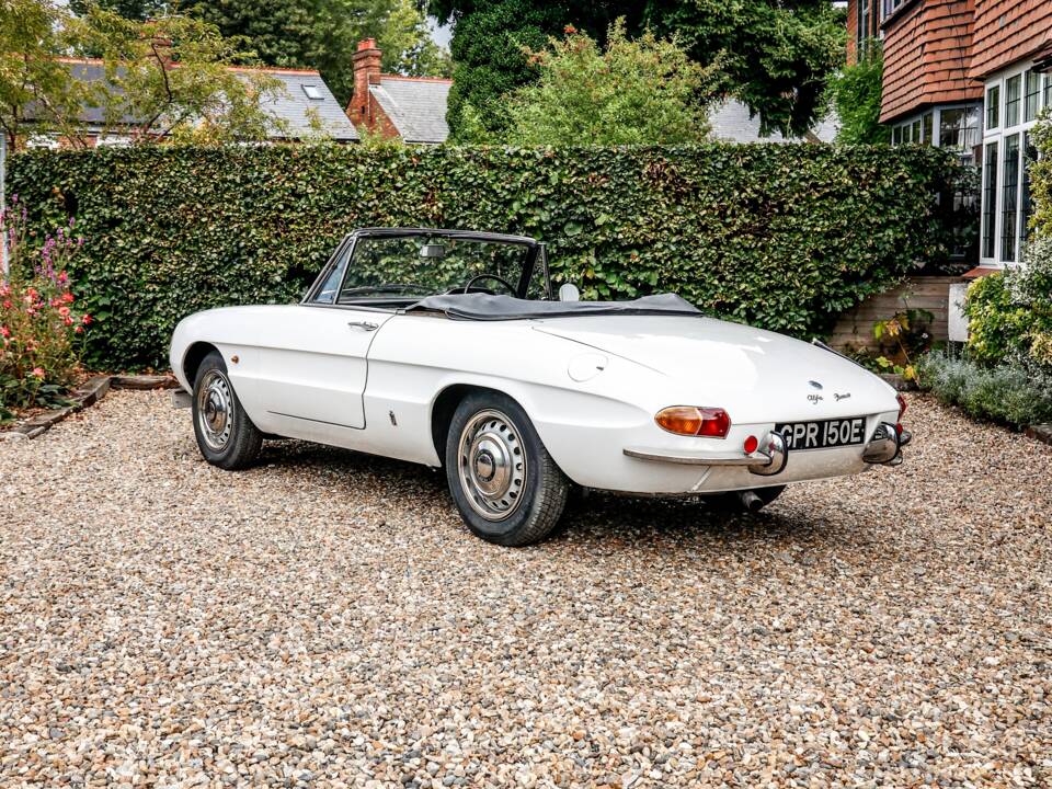 Immagine 8/35 di Alfa Romeo 1600 Spider Duetto (1967)