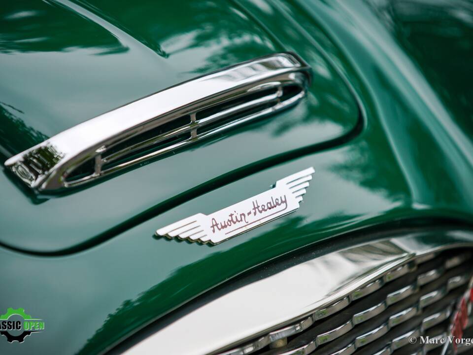 Image 31/59 of Austin-Healey 100&#x2F;6 (BN6) (1958)